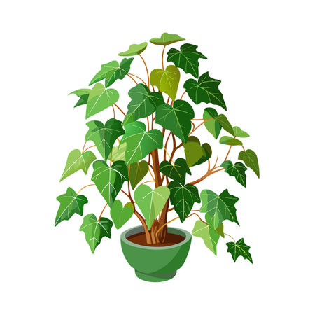 Beautiful Houseplant Vector Illustration Conceptのイラスト素材