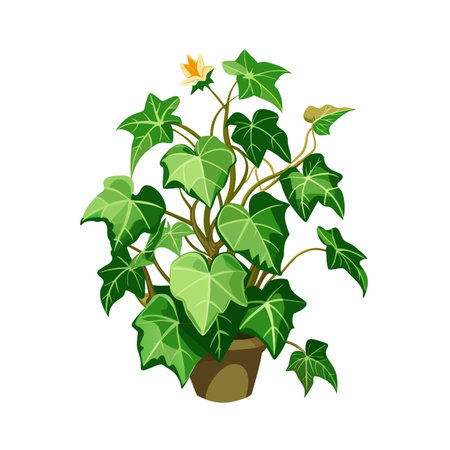 Beautiful Houseplant Vector Illustration Conceptのイラスト素材