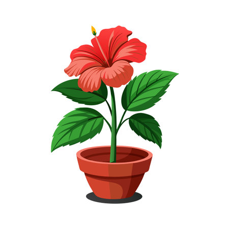 Beautiful Houseplant Vector Illustration Conceptのイラスト素材
