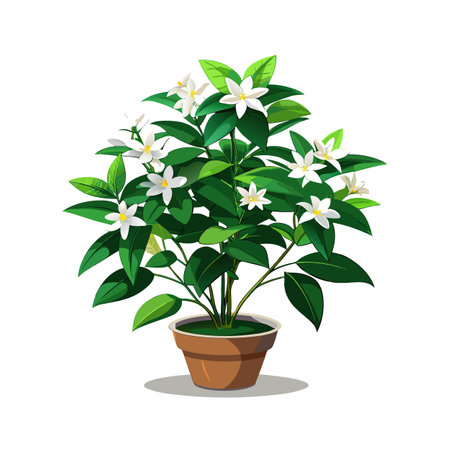 Beautiful Houseplant Vector Illustration Conceptのイラスト素材