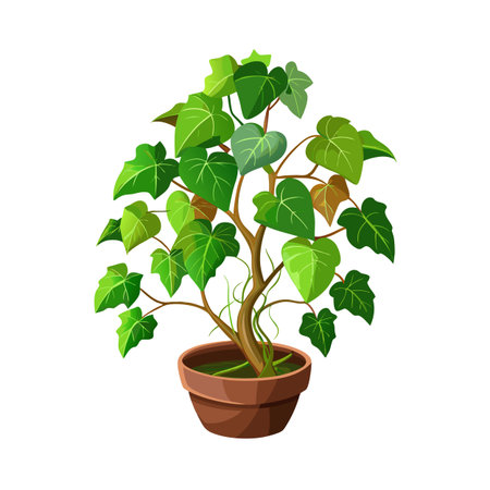 Beautiful Houseplant Vector Illustration Conceptのイラスト素材