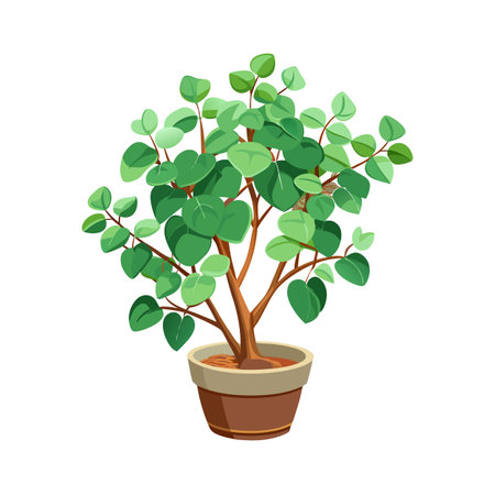 Beautiful Houseplant Vector Illustration Conceptのイラスト素材