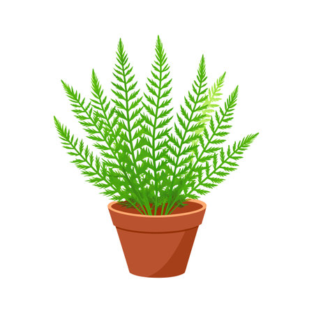 Beautiful Houseplant Vector Illustration Conceptのイラスト素材