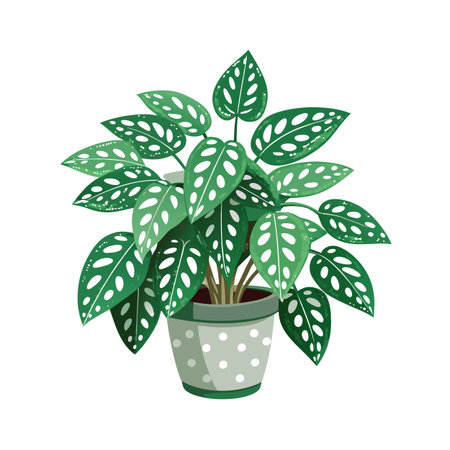 Beautiful Houseplant Vector Illustration Conceptのイラスト素材
