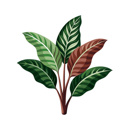 Beautiful Houseplant Vector Illustration Conceptのイラスト素材