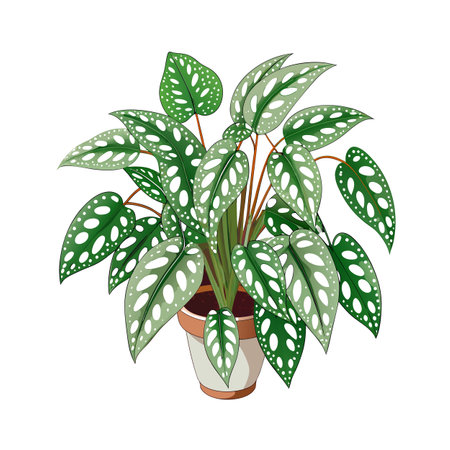 Beautiful Houseplant Vector Illustration Conceptのイラスト素材