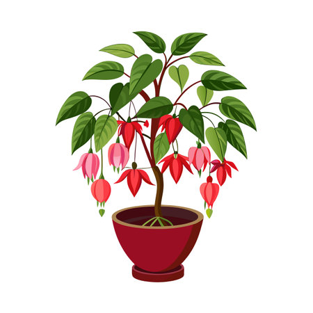 Beautiful Houseplant Vector Illustration Conceptのイラスト素材