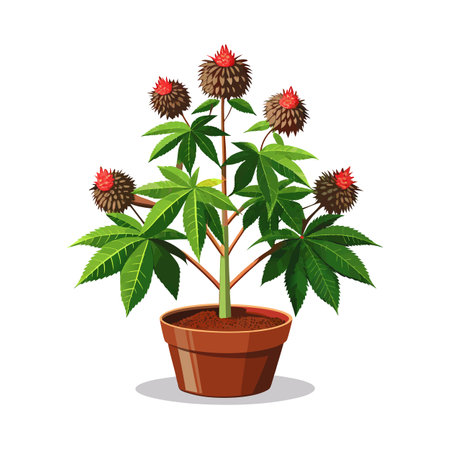 Beautiful Houseplant Vector Illustration Conceptのイラスト素材