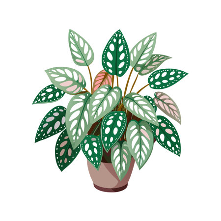 Beautiful Houseplant Vector Illustration Conceptのイラスト素材