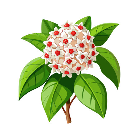 Beautiful Houseplant Vector Illustration Conceptのイラスト素材
