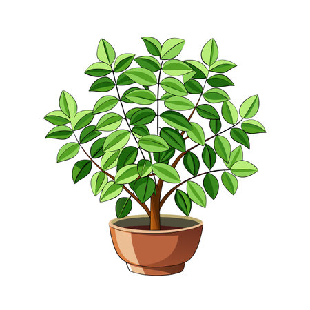 Beautiful Houseplant Vector Illustration Conceptのイラスト素材