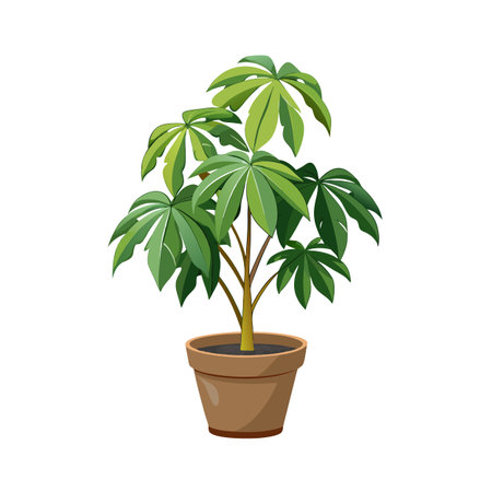 Beautiful Houseplant Vector Illustration Conceptのイラスト素材