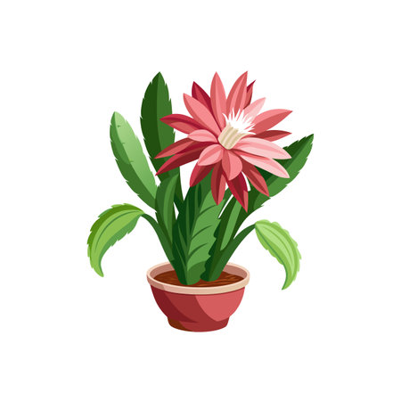 Beautiful Houseplant Vector Illustration Conceptのイラスト素材