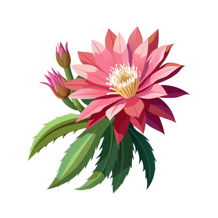 Beautiful Houseplant Vector Illustration Conceptのイラスト素材