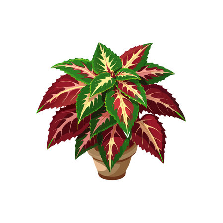 Beautiful Houseplant Vector Illustration Conceptのイラスト素材