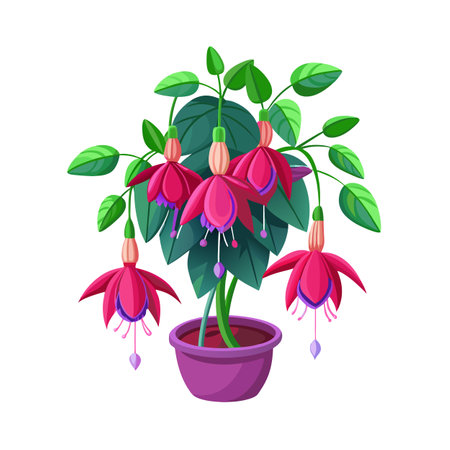 Beautiful Houseplant Vector Illustration Conceptのイラスト素材