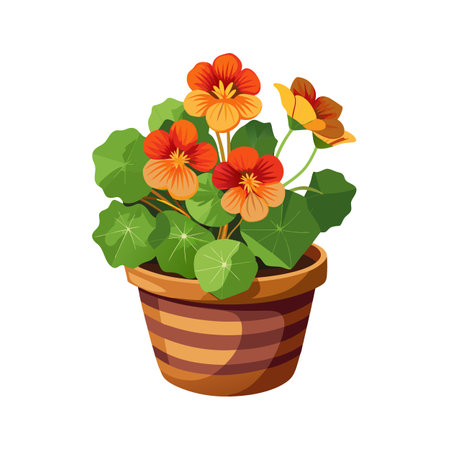 Beautiful Flowerpot Houseplant Vector Illustration Conceptのイラスト素材