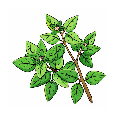 Realistic Beautiful Herbs Vector Illustrationのイラスト素材