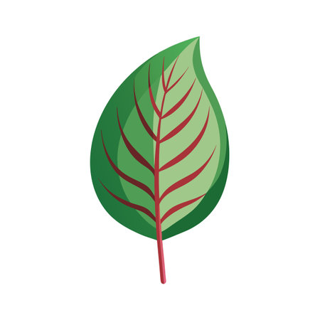 Beautiful flat style leaf icon vector illustrationのイラスト素材