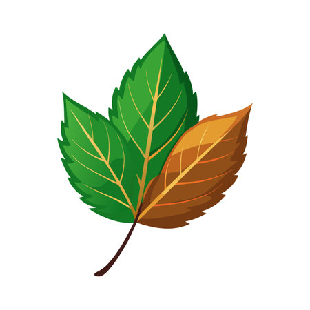 Beautiful flat style leaf icon vector illustrationのイラスト素材