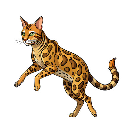 Beautiful Realistic Pet Cat Vector Illustration Isolated on a White Backgroundのイラスト素材