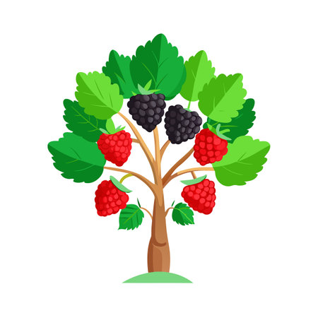 Beautiful Realistic Tree Icon Vector Illustration Isolated on a White Backgroundのイラスト素材