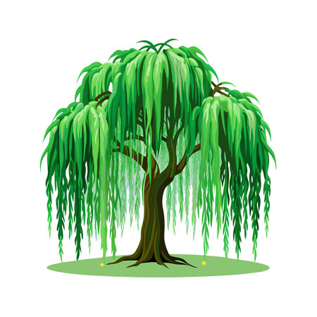 Beautiful Realistic Tree Icon Vector Illustration Isolated on a White Backgroundのイラスト素材