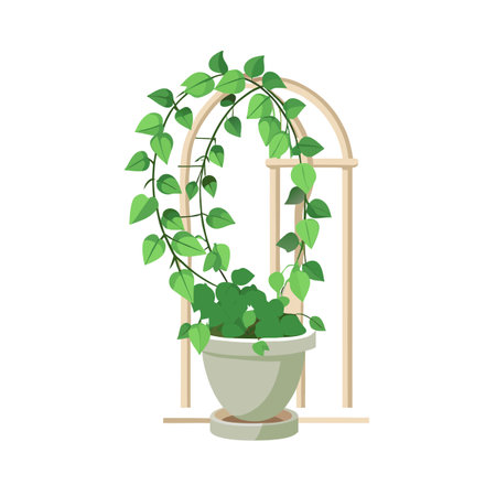 Beautiful Realistic Houseplant Tree Vector Illustration Isolated on a White Backgroundのイラスト素材