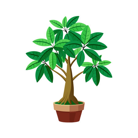 Beautiful Realistic Houseplant Tree Vector Illustration Isolated on a White Backgroundのイラスト素材