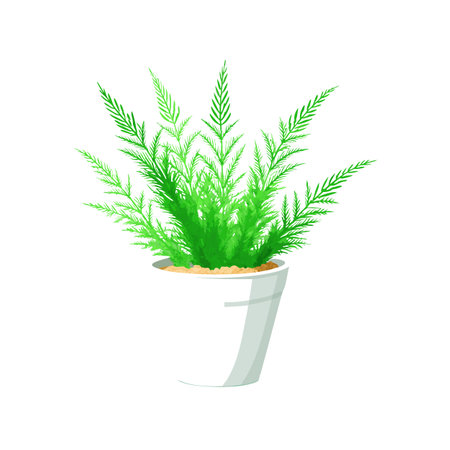 Beautiful Realistic Houseplant Tree Vector Illustration Isolated on a White Backgroundのイラスト素材