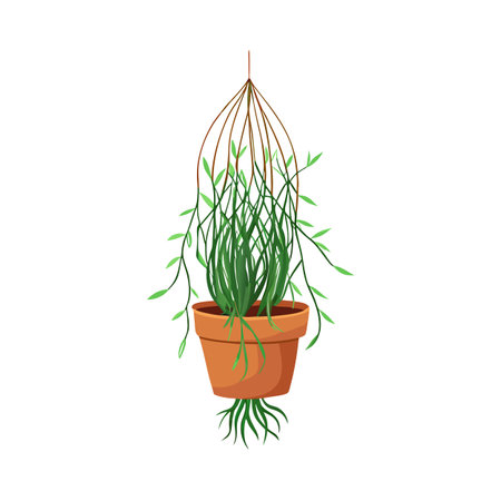 Beautiful Realistic Houseplant Tree Vector Illustration Isolated on a White Backgroundのイラスト素材