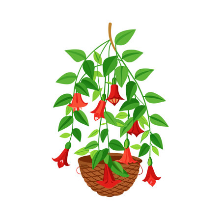 Beautiful Realistic Houseplant Tree Vector Illustration Isolated on a White Backgroundのイラスト素材