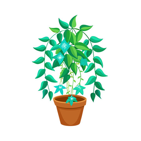Beautiful Realistic Houseplant Tree Vector Illustration Isolated on a White Backgroundのイラスト素材