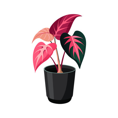 Beautiful Realistic Houseplant Tree Vector Illustration Isolated on a White Backgroundのイラスト素材