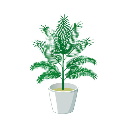 Beautiful Realistic Houseplant Tree Vector Illustration Isolated on a White Backgroundのイラスト素材