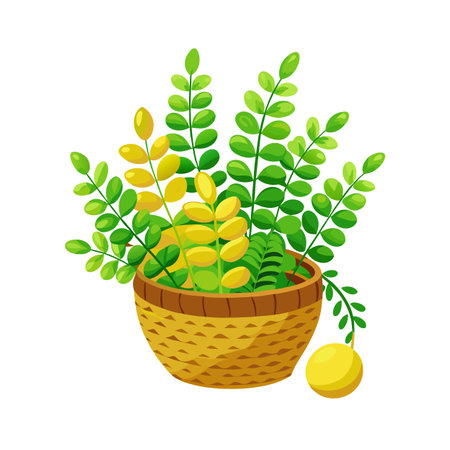 Beautiful Realistic Houseplant Tree Vector Illustration Isolated on a White Backgroundのイラスト素材
