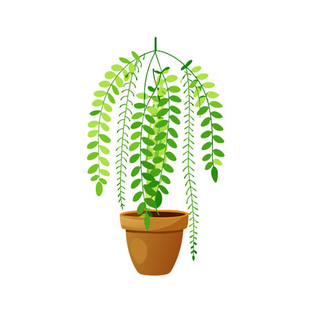 Beautiful Realistic Houseplant Tree Vector Illustration Isolated on a White Backgroundのイラスト素材