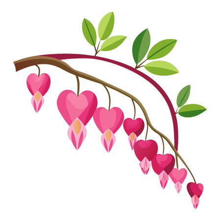 Bleeding Heart Flowers with Cascading Petals and Unique Design and Flower Conceptのイラスト素材