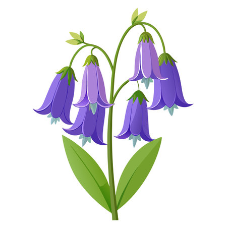 Bluebell Flowers with Yellow Petals and Long Stemsのイラスト素材