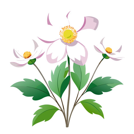 Vibrant Japanese Anemone Plant with Brightly Colored Flowers and Leaves in a Natural Settingのイラスト素材