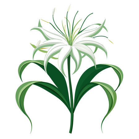 Intricate Details of a Spider Lily Plant in a Natural Setting with Wildflowers and Butterfliesのイラスト素材