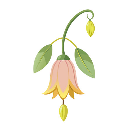 Beautiful Fairy Lantern Flower with Red Petals and Green Leavesのイラスト素材