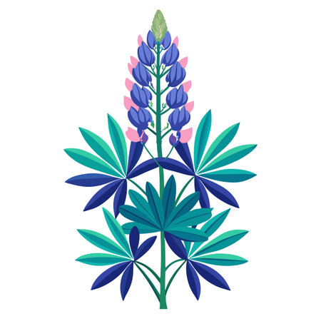 Botanical Illustration of a Lupine Plant in Full Bloomのイラスト素材