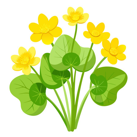 Marsh Marigold with Pink Petals and Green Leaves in a Garden Settingのイラスト素材