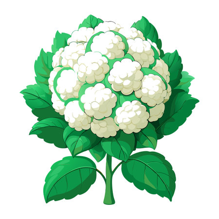 Snowball Bush Plant with Purple Flowers and Green Leaves in a Garden Settingのイラスト素材