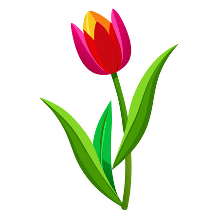 Beautiful Tulip Plant with Vibrant Red Flowers and Green Leavesのイラスト素材