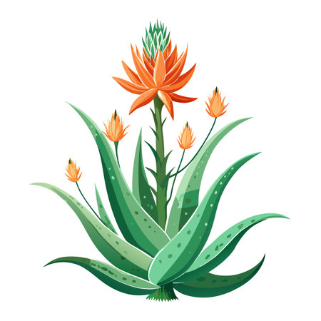 Botanical Illustration of an Aloe Vera Plant in Full Bloom with Green Leaves and Stemsのイラスト素材