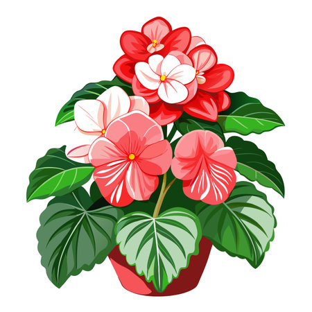 Vibrant Begonia Plant with Brightly Colored Flowers and Leaves in a Natural Settingのイラスト素材