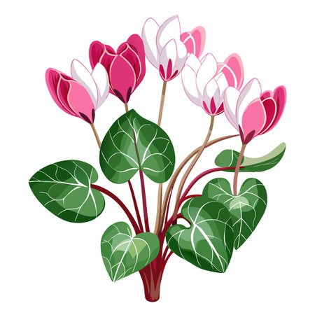 Vibrant Delicate Cyclamen Plant with Brightly Colored Flowers and Leaves in a Natural Settingのイラスト素材