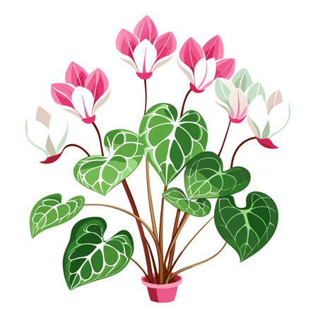 Botanical Illustration of a Delicate Cyclamen Plant in Full Bloom with Green Leaves and Stemsのイラスト素材